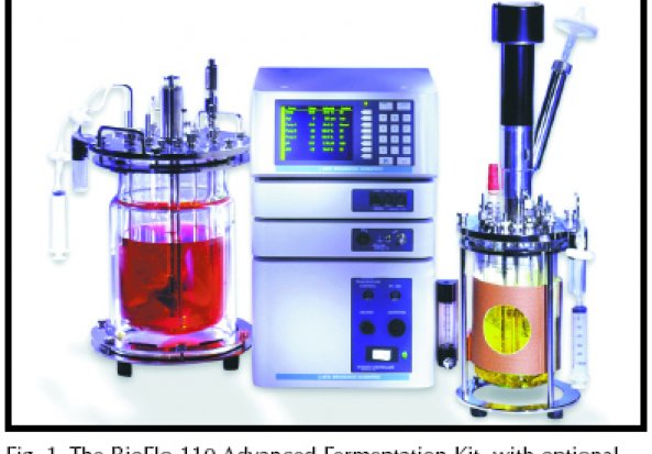 Bioflo Bioflo 110 Benchtop Fermentor 