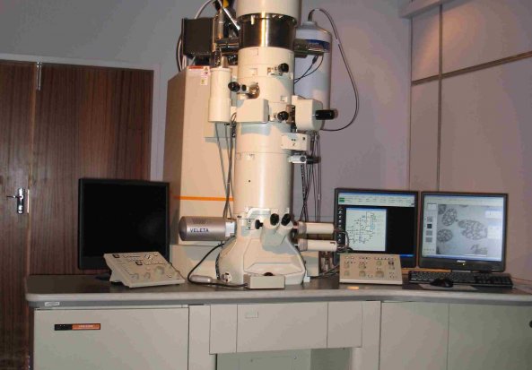 Jeol 200kV FEGTEM Model: 2100F Transmission Electron Microscope (TEM) with associated Cryo-Equipment Electron Microscopes