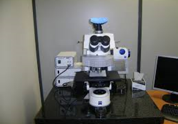 ApoTome Axio Z1 imager microscope 