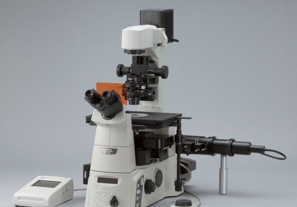 Nikon TiE EpiFluorescence Inverted Microscope Fluorescent Microscopes