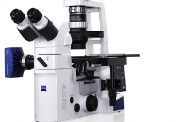 Zeiss Zeiss AxioVert.A1 Inverted Fluorescence Microscope Fluorescent Microscopes