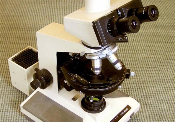 Wits Petrography Microscope 