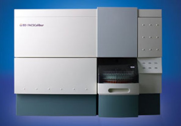 BD Biosciences FACSCalibur Flow Cytometer 