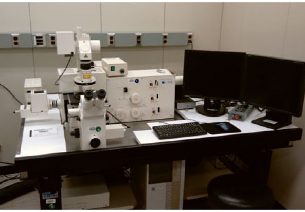 Carl Zeiss 410 Laser Scanning Confocal Microscope (LSM) Laser Scanning Microscope (LSM)