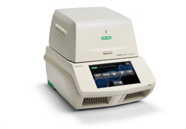 Bio-Rad CFX96 Polymerase Chain Reaction (PCR) Detection System