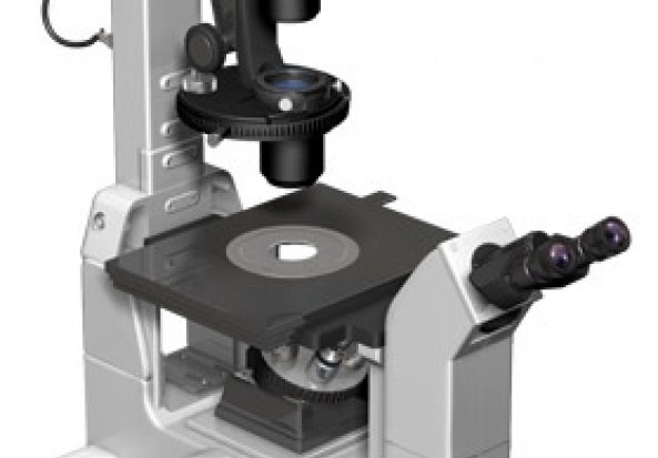 Nikon Eclipse TE300 Microscope 