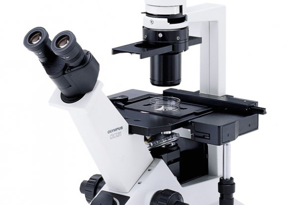 Olympus CKX41 Inverted Microscope Inverted Motorised Microscope