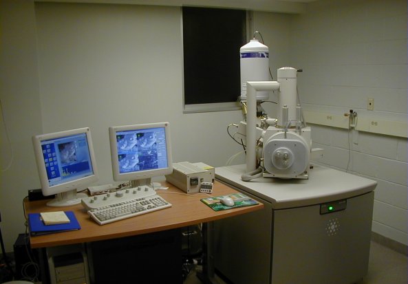 FEI Quanta 400 SEM Electron Microscopes