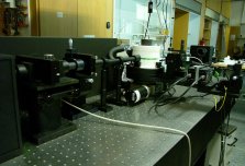 Coherent Innova 308 Raman Spectrograph Raman Spectrometer