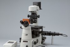 Nikon TiE EpiFluorescence Inverted Microscope Fluorescent Microscopes